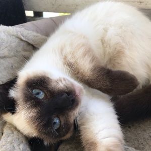 Meet your Posher, Flora